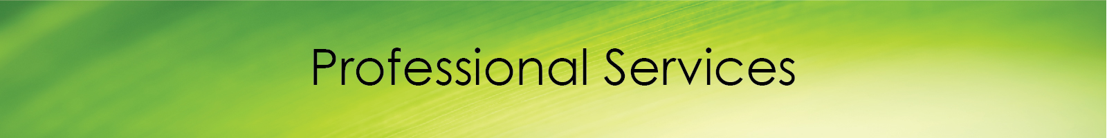 2020CWProfessionalServices